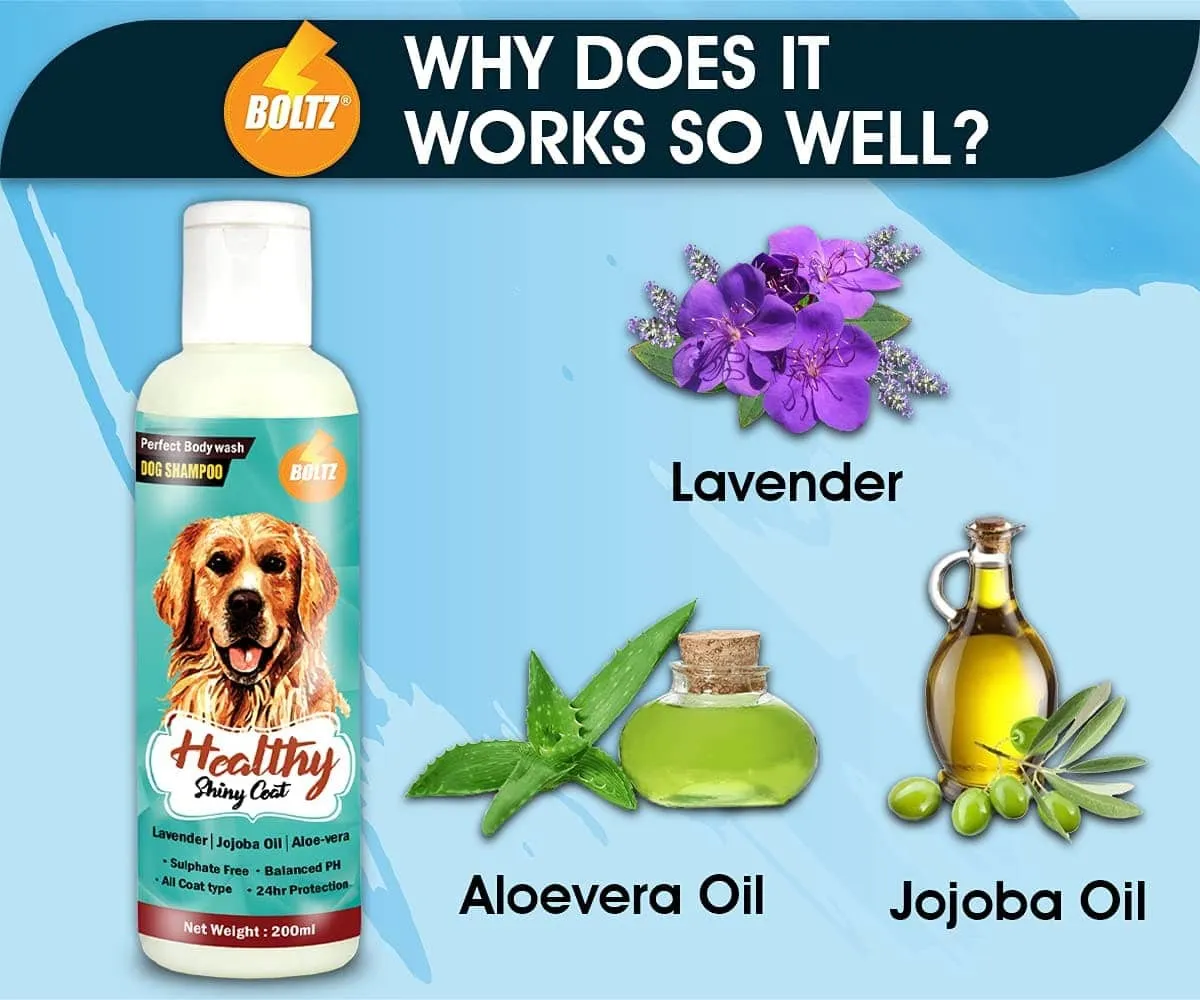 Boltz Shampoo for Dogs