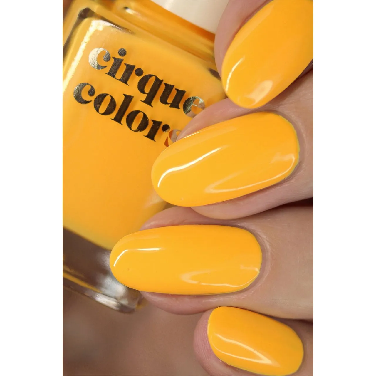 Cirque Colors - Nail Polish - Munchies 0.37 oz